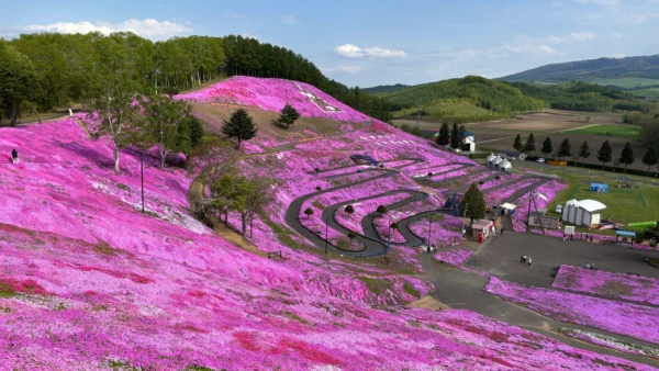 ５月は花盛